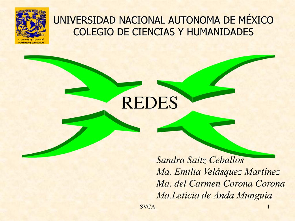 UNIVERSIDAD NACIONAL AUTONOMA DE MÉXICO COLEGIO DE CIENCIAS Y HUMANIDADES
