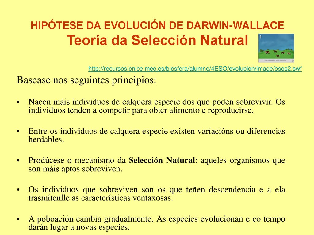 HIPÓTESE DA EVOLUCIÓN DE DARWIN-WALLACE Teoría da Selección Natural
