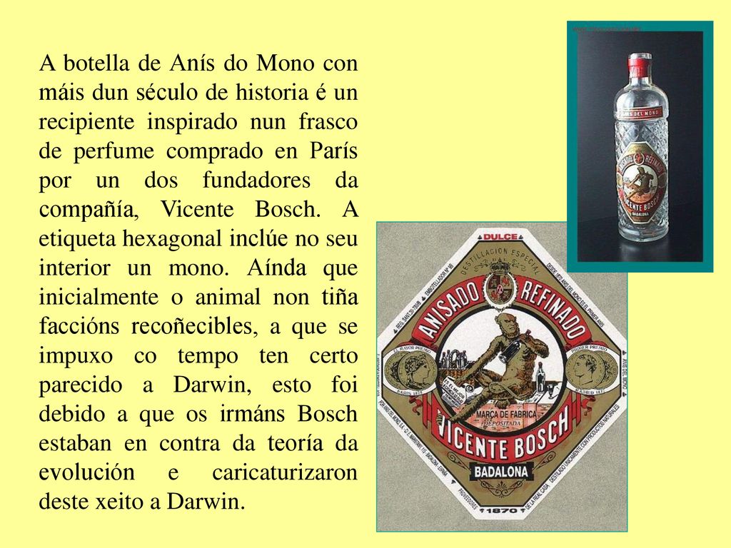 A botella de Anís do Mono con máis dun século de historia é un recipiente inspirado nun frasco de perfume comprado en París por un dos fundadores da compañía, Vicente Bosch.