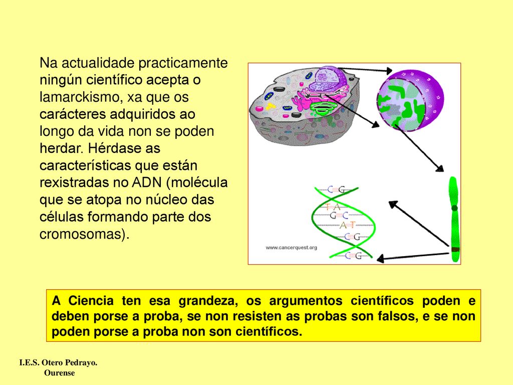 Na actualidade practicamente ningún científico acepta o lamarckismo, xa que os carácteres adquiridos ao longo da vida non se poden herdar. Hérdase as características que están rexistradas no ADN (molécula que se atopa no núcleo das células formando parte dos cromosomas).
