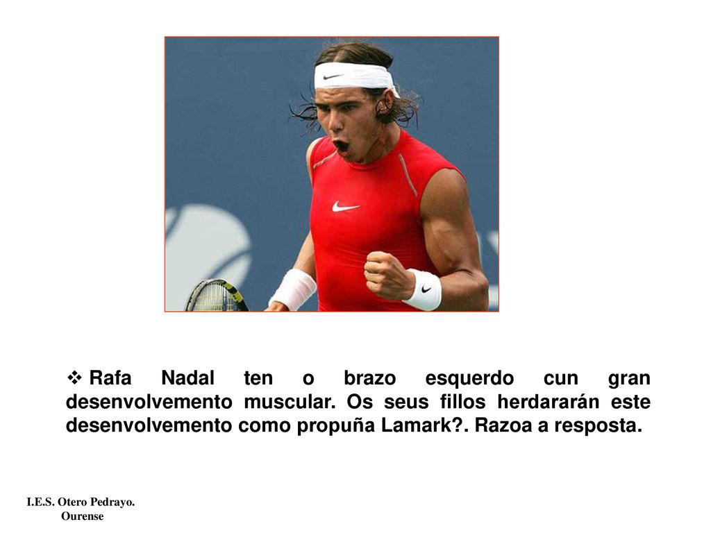 Rafa Nadal ten o brazo esquerdo cun gran desenvolvemento muscular