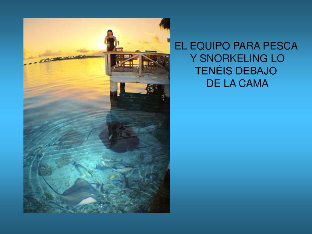 EL EQUIPO PARA PESCA Y SNORKELING LO TENÉIS DEBAJO DE LA CAMA
