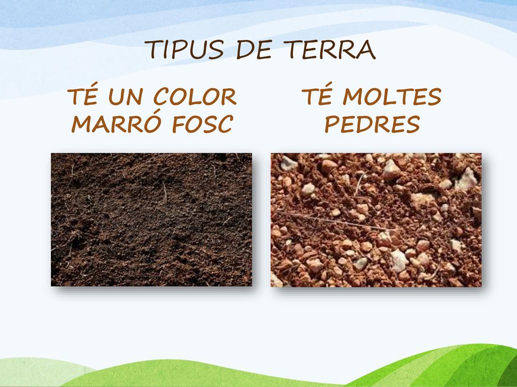 TIPUS DE TERRA TÉ UN COLOR MARRÓ FOSC TÉ MOLTES PEDRES
