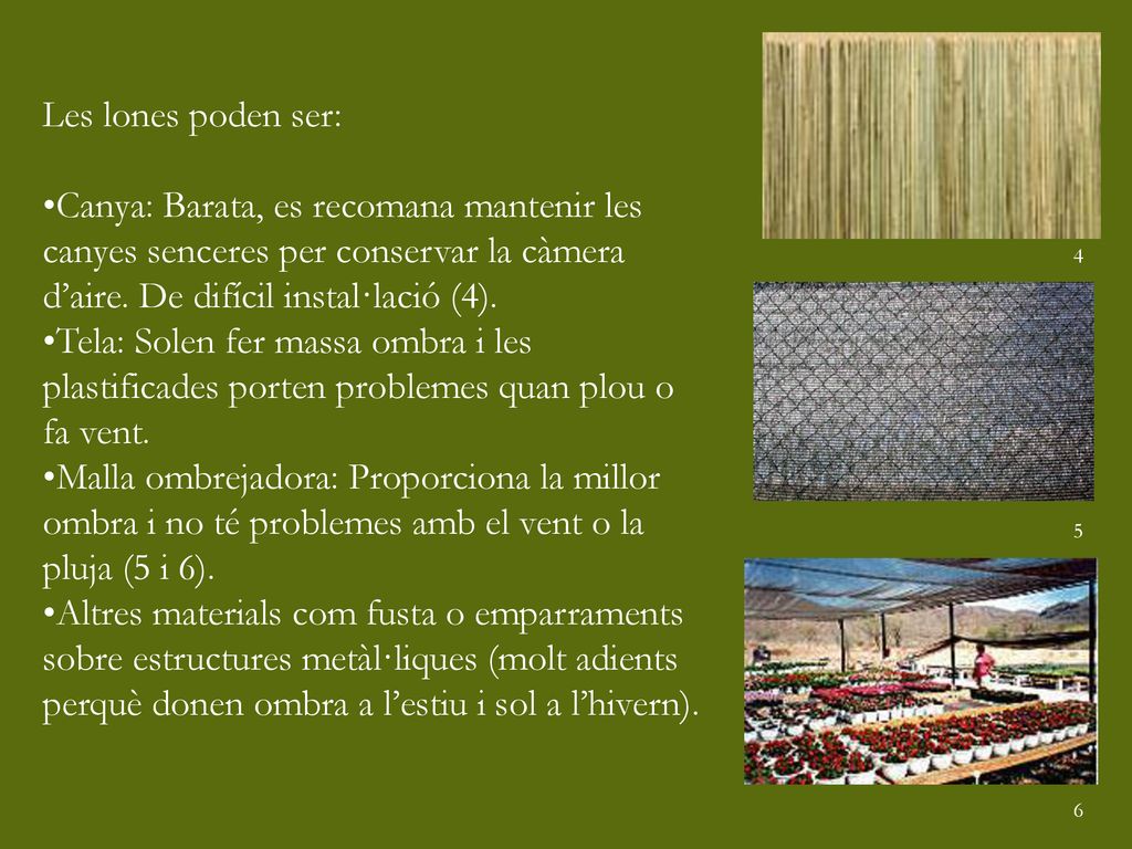 Les lones poden ser: Canya: Barata, es recomana mantenir les canyes senceres per conservar la càmera d’aire. De difícil instal·lació (4).
