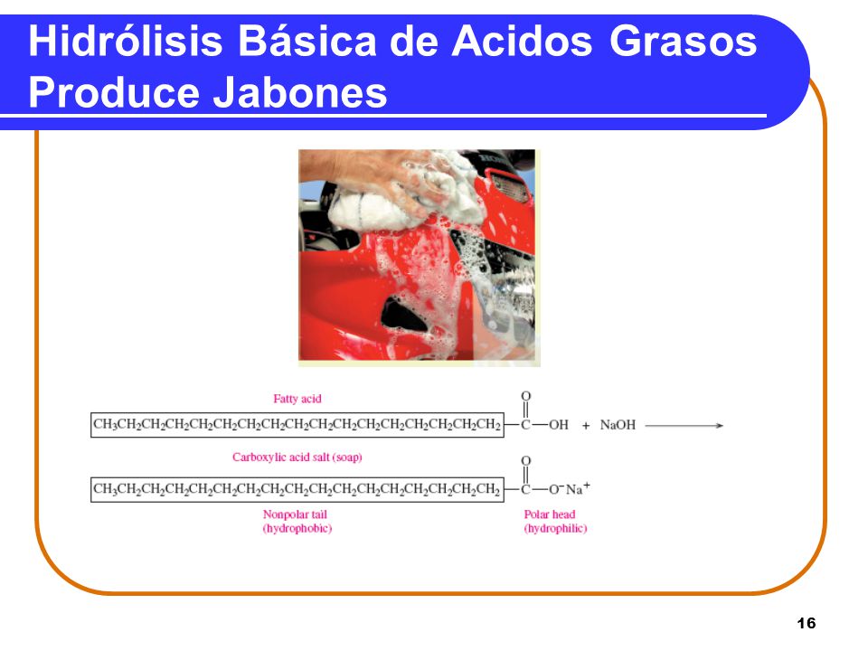 Hidrólisis Básica de Acidos Grasos Produce Jabones