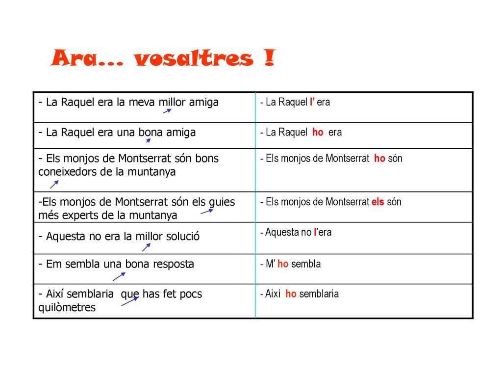 Ara... vosaltres ! - La Raquel era la meva millor amiga