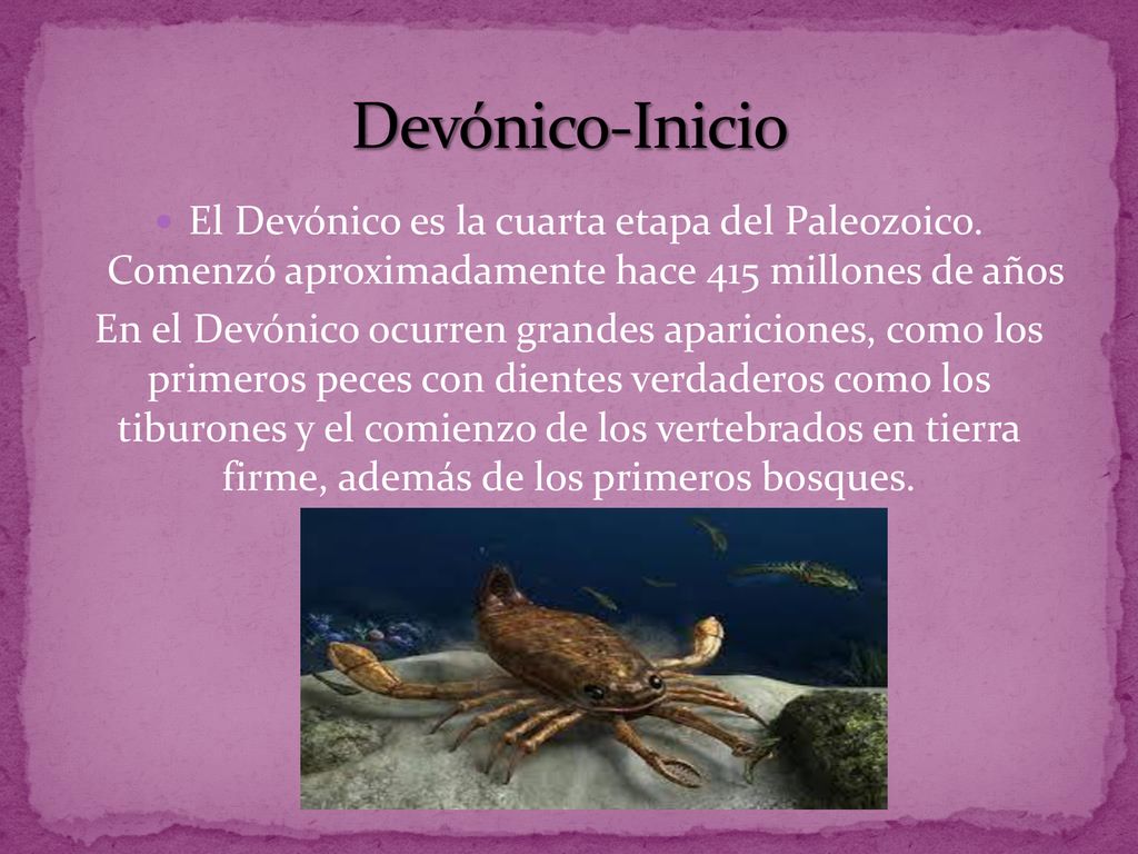 Devónico-Inicio El Devónico es la cuarta etapa del Paleozoico. Comenzó aproximadamente hace 415 millones de años.