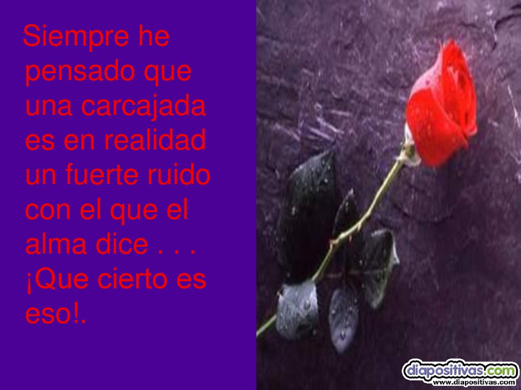 Siempre he pensado que una carcajada es en realidad un fuerte ruido con el que el alma dice .