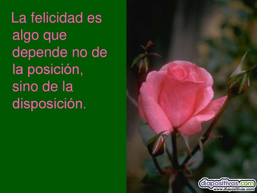 La felicidad es algo que depende no de la posición, sino de la disposición.