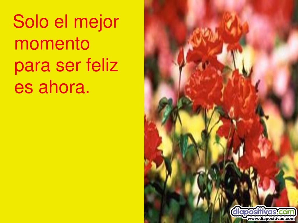 Solo el mejor momento para ser feliz es ahora.