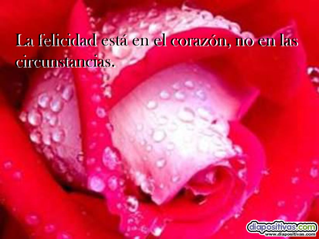 La felicidad está en el corazón, no en las circunstancias.
