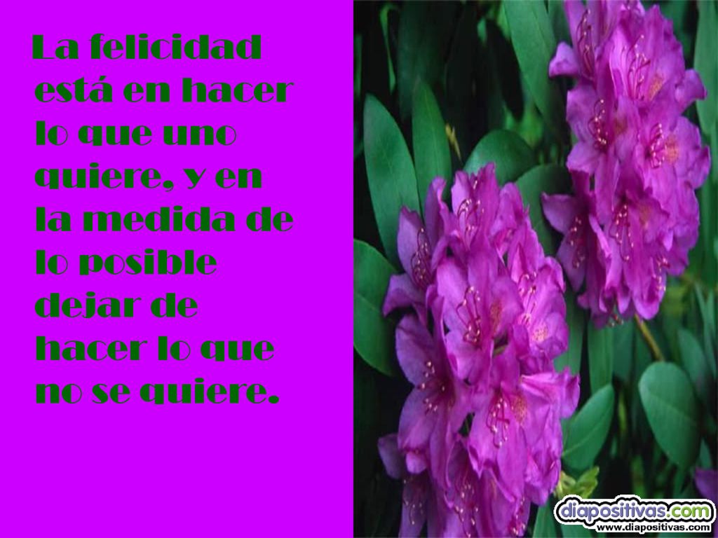 La felicidad está en hacer lo que uno quiere, y en la medida de lo posible dejar de hacer lo que no se quiere.