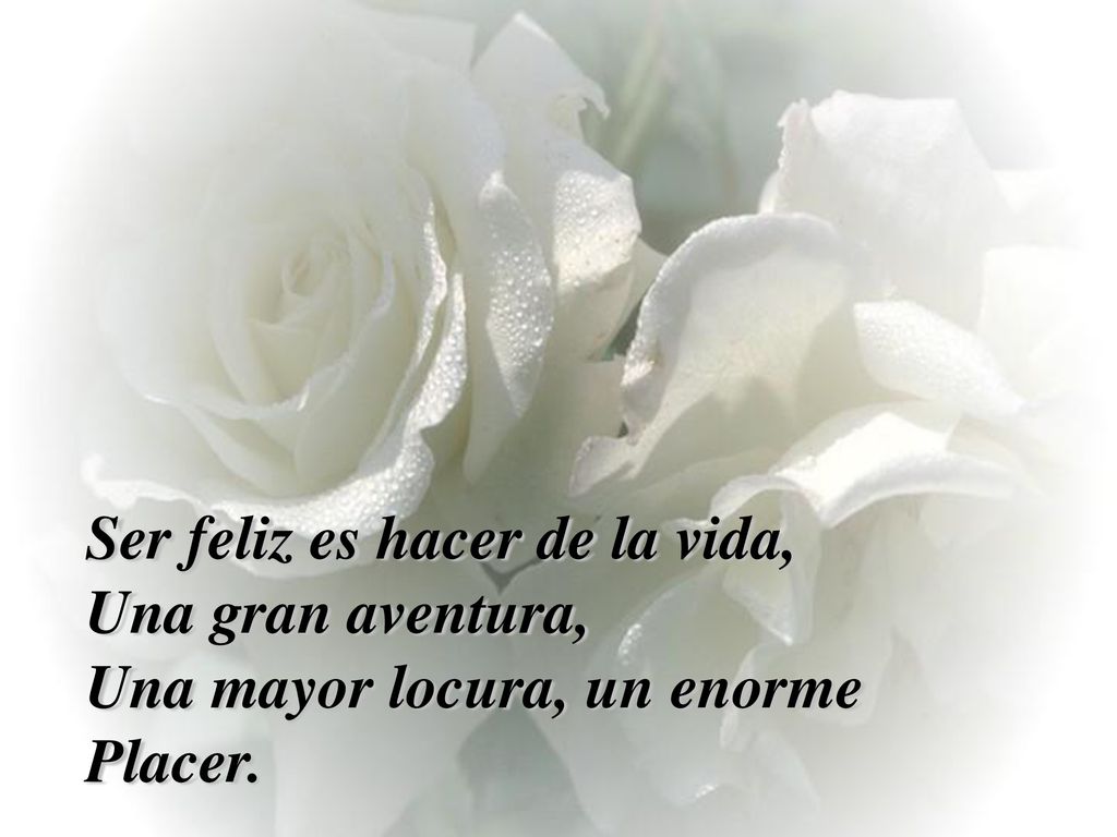 Ser feliz es hacer de la vida, Una gran aventura, Una mayor locura, un enorme Placer.