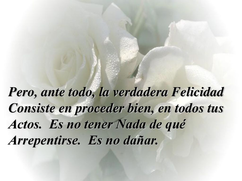 Pero, ante todo, la verdadera Felicidad Consiste en proceder bien, en todos tus Actos. Es no tener Nada de qué Arrepentirse. Es no dañar.