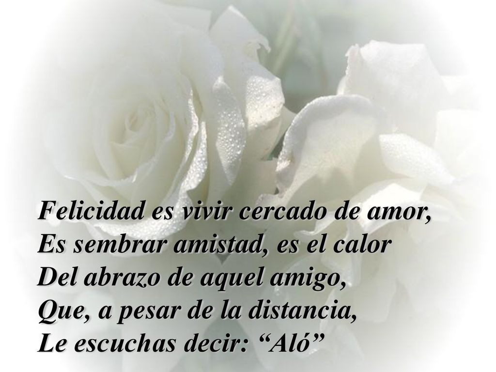 Felicidad es vivir cercado de amor, Es sembrar amistad, es el calor Del abrazo de aquel amigo, Que, a pesar de la distancia, Le escuchas decir: Aló