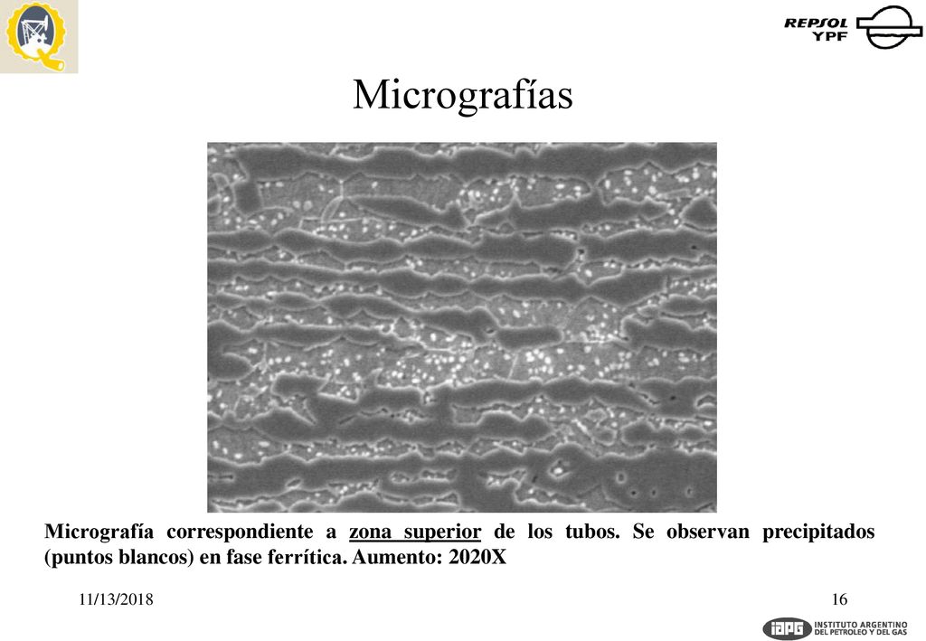 Micrografías Micrografía correspondiente a zona superior de los tubos. Se observan precipitados (puntos blancos) en fase ferrítica. Aumento: 2020X.