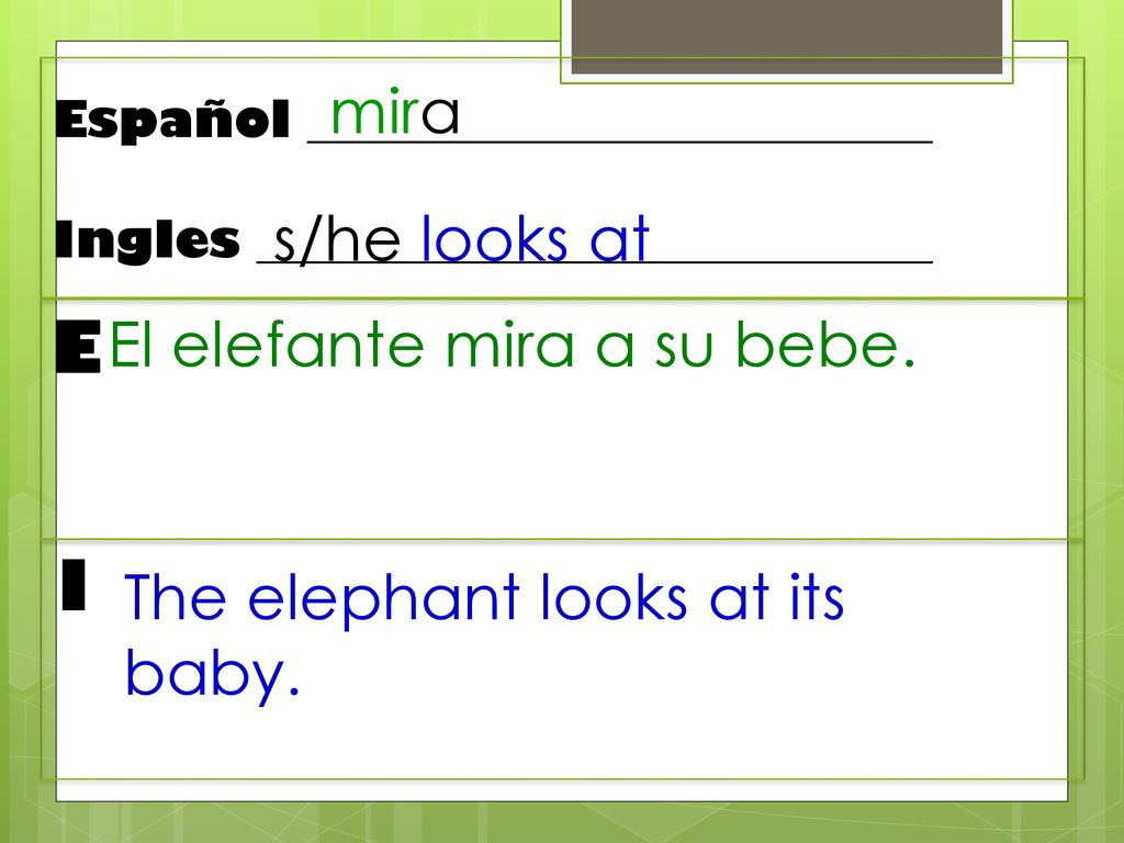 E I mira s/he looks at El elefante mira a su bebe.