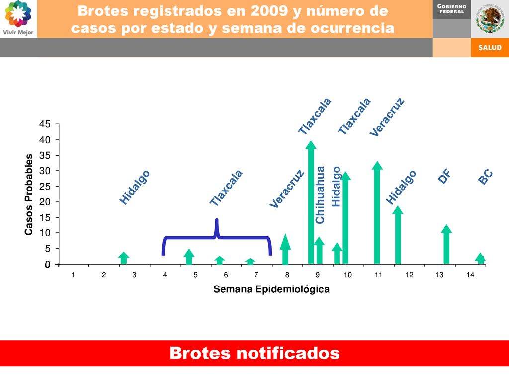 Brotes registrados en 2009 y número de casos por estado y semana de ocurrencia