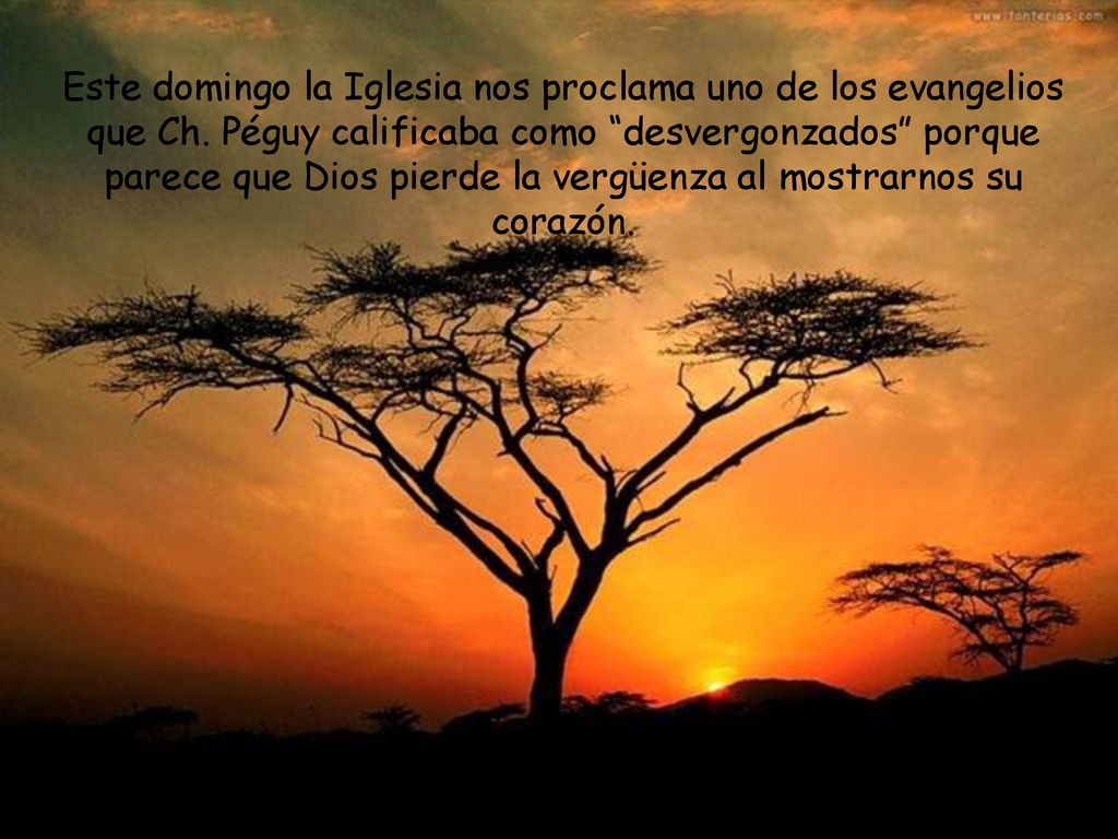 Este domingo la Iglesia nos proclama uno de los evangelios que Ch