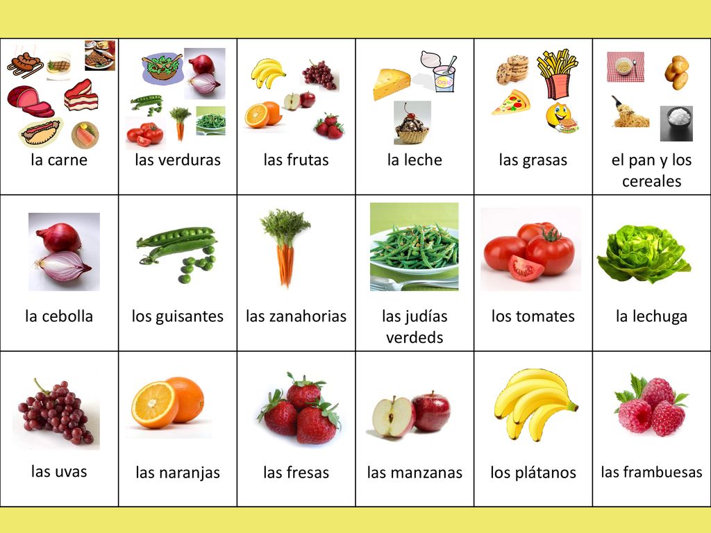 la carne las verduras las frutas la leche las grasas