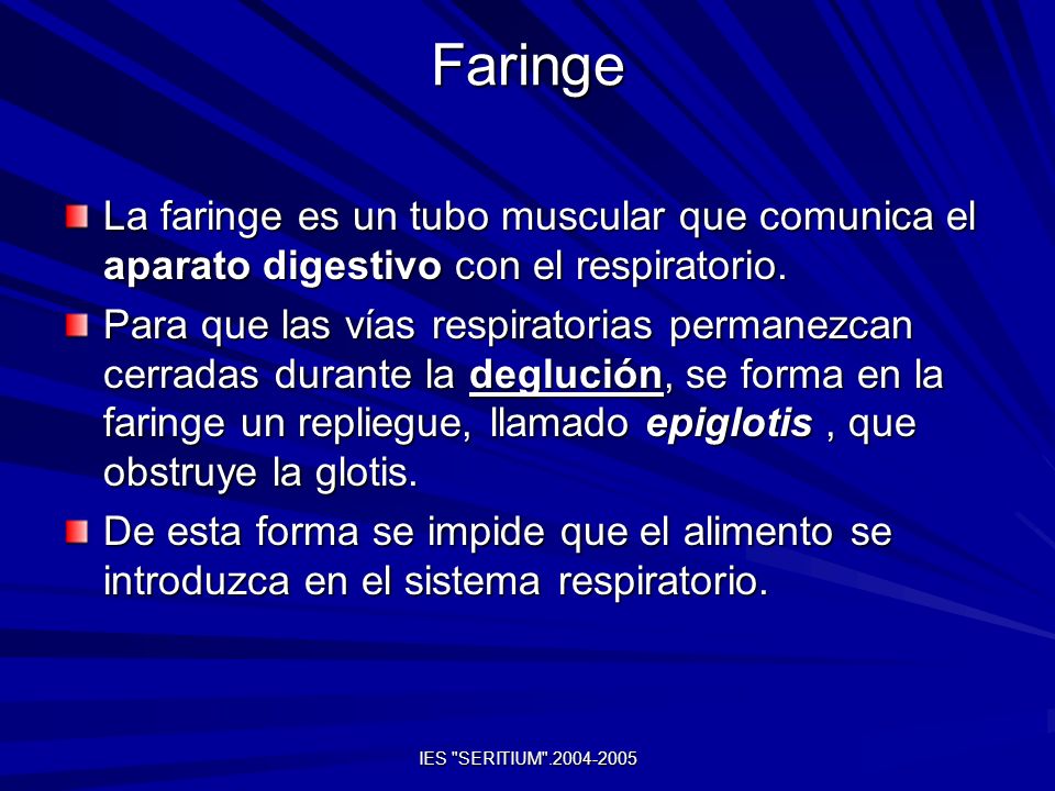 Faringe La faringe es un tubo muscular que comunica el aparato digestivo con el respiratorio.