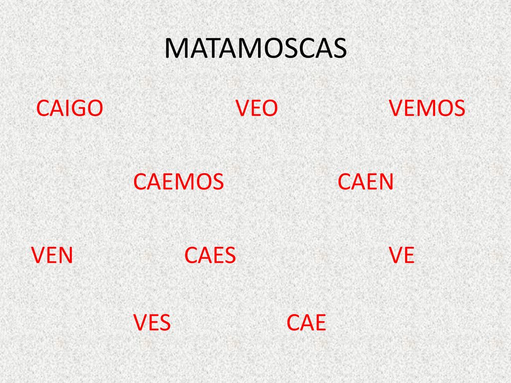 MATAMOSCAS CAIGO VEO VEMOS CAEMOS CAEN VEN CAES VE VES CAE