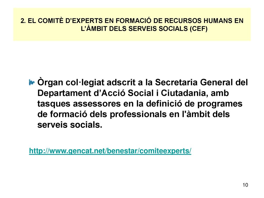 2. EL COMITÈ D’EXPERTS EN FORMACIÓ DE RECURSOS HUMANS EN L’ÀMBIT DELS SERVEIS SOCIALS (CEF)