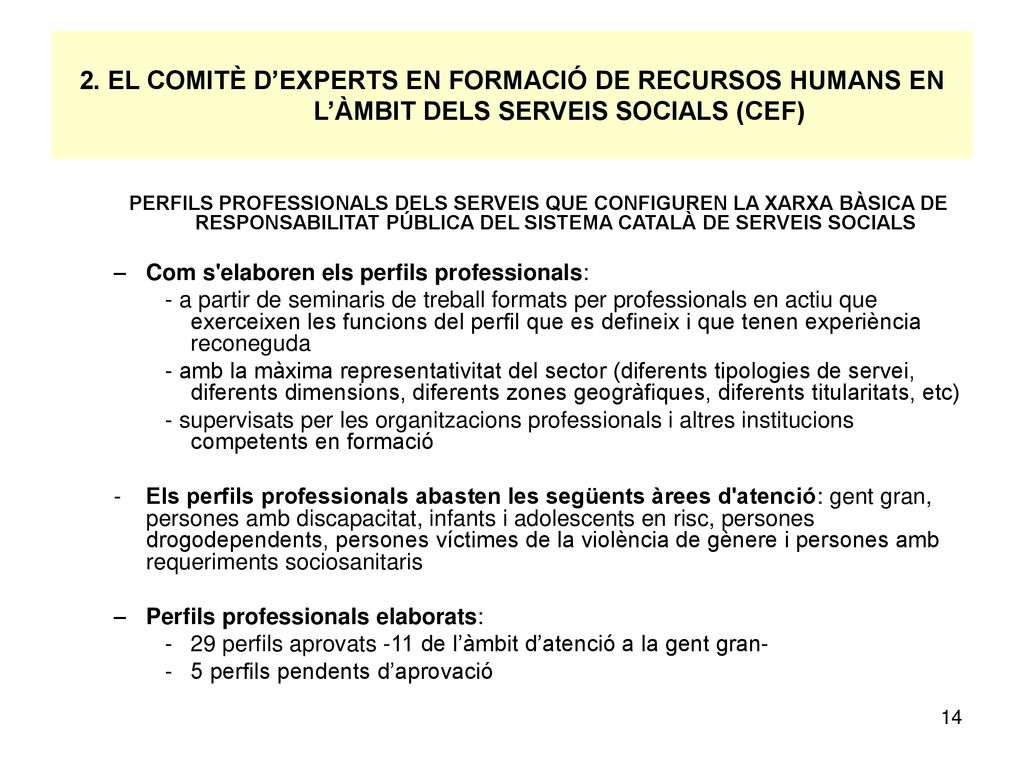 2. EL COMITÈ D’EXPERTS EN FORMACIÓ DE RECURSOS HUMANS EN L’ÀMBIT DELS SERVEIS SOCIALS (CEF)