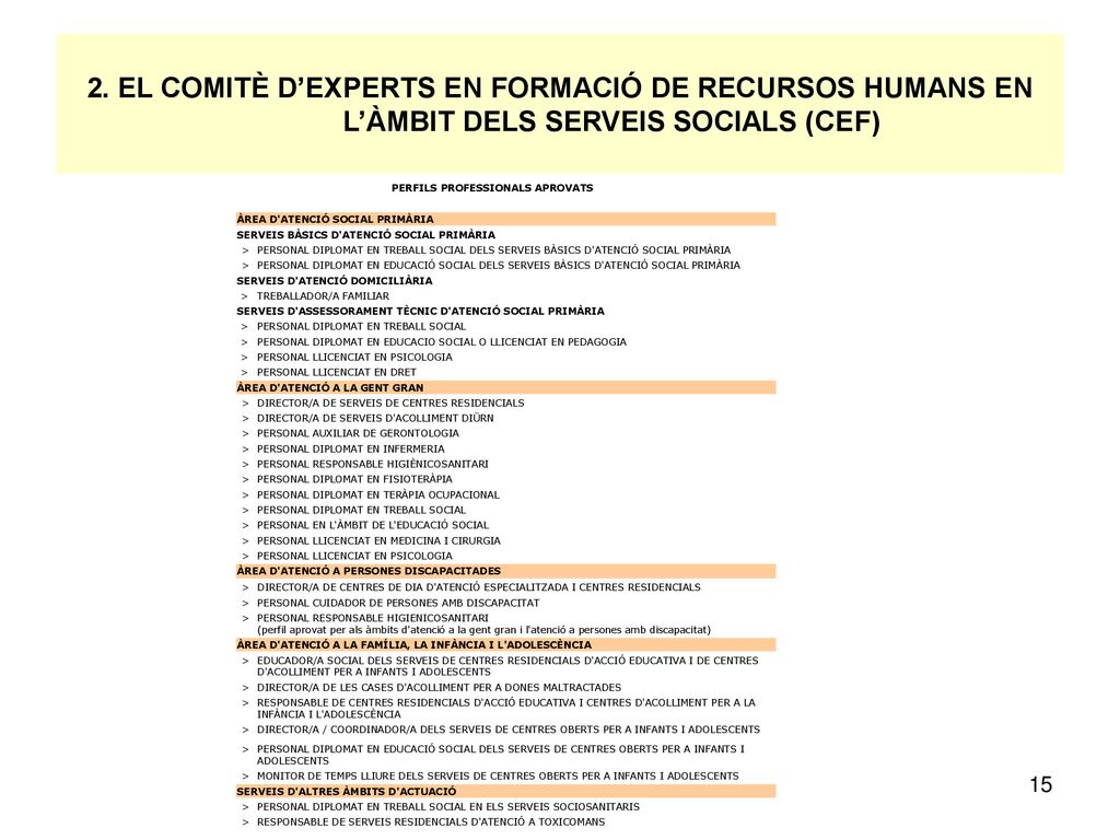 2. EL COMITÈ D’EXPERTS EN FORMACIÓ DE RECURSOS HUMANS EN L’ÀMBIT DELS SERVEIS SOCIALS (CEF)
