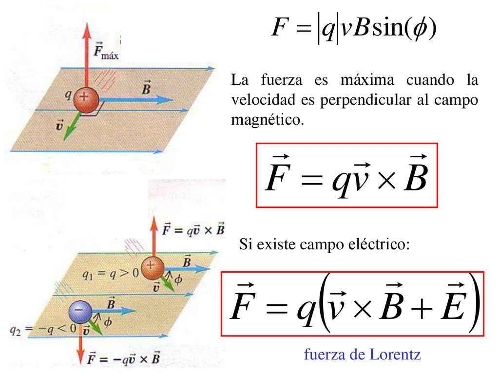 La fuerza es máxima cuando la velocidad es perpendicular al campo magnético.