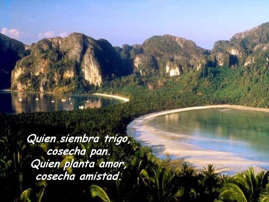 Quien siembra trigo, cosecha pan. Quien planta amor, cosecha amistad.