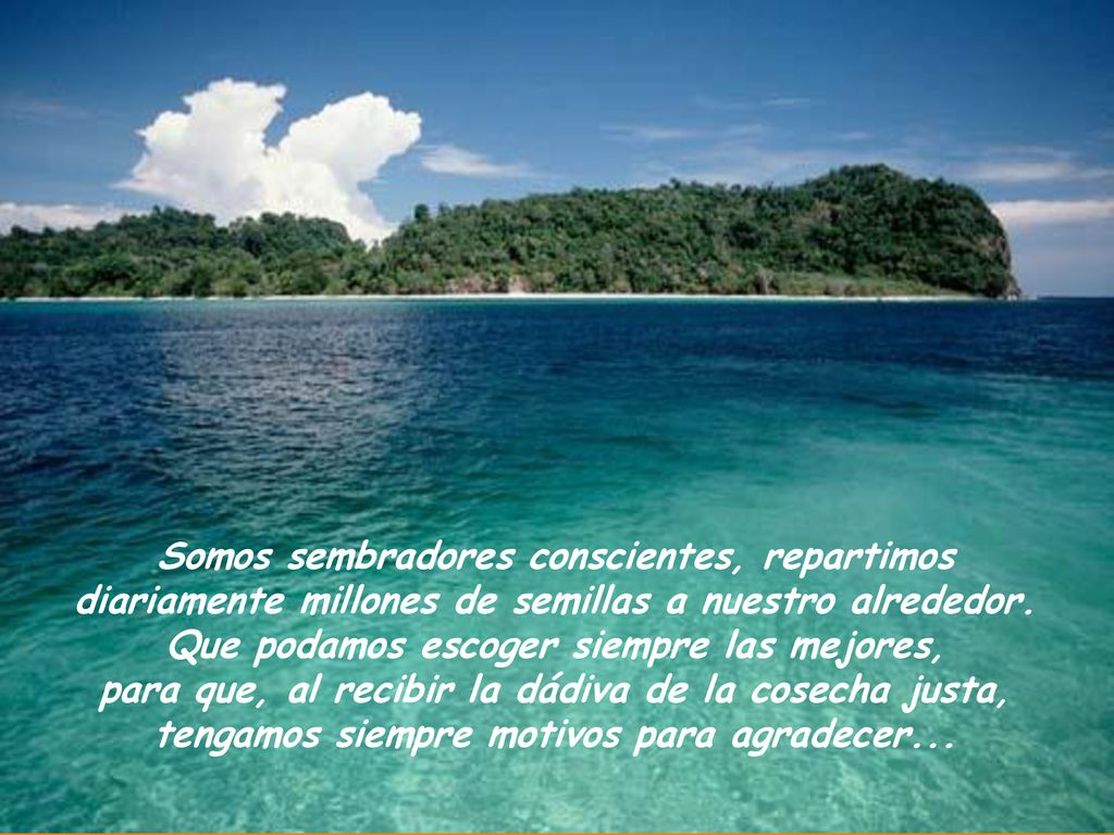…... Somos sembradores conscientes, repartimos diariamente millones de semillas a nuestro alrededor.