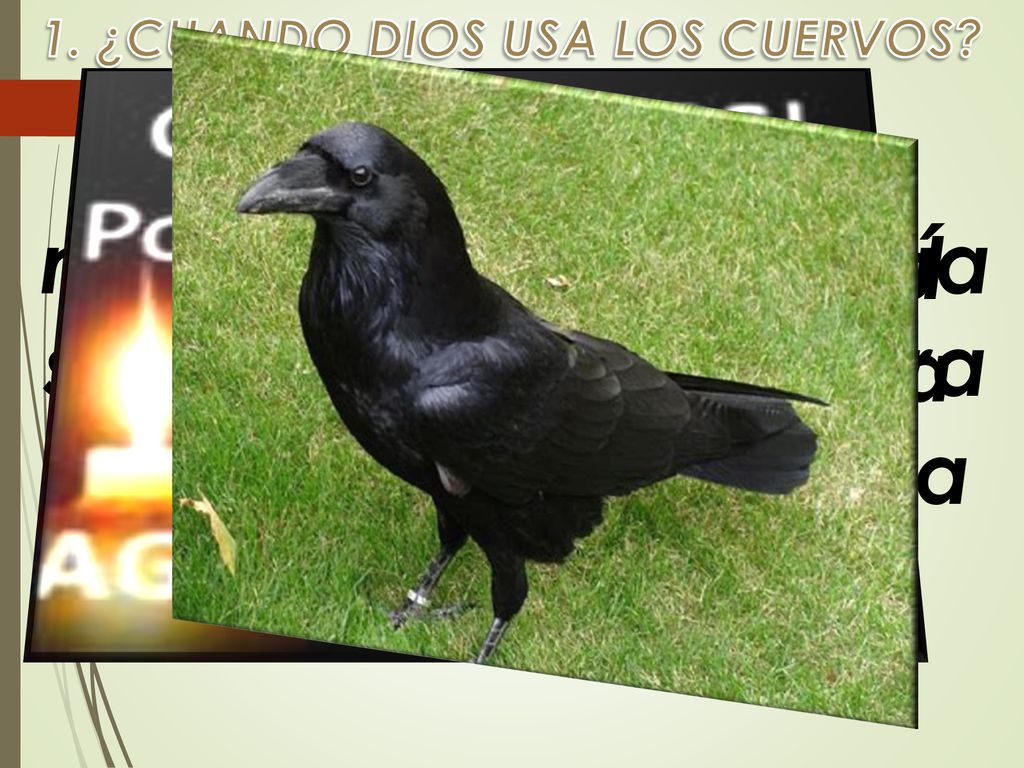 A. Cuando hay una necesidad, Noé quería saber si ya había tierra seca