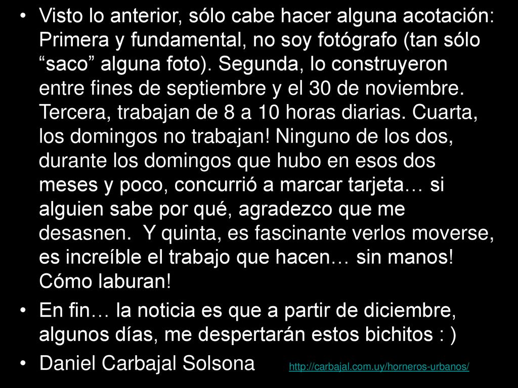 Visto lo anterior, sólo cabe hacer alguna acotación: Primera y fundamental, no soy fotógrafo (tan sólo saco alguna foto). Segunda, lo construyeron entre fines de septiembre y el 30 de noviembre. Tercera, trabajan de 8 a 10 horas diarias. Cuarta, los domingos no trabajan! Ninguno de los dos, durante los domingos que hubo en esos dos meses y poco, concurrió a marcar tarjeta… si alguien sabe por qué, agradezco que me desasnen. Y quinta, es fascinante verlos moverse, es increíble el trabajo que hacen… sin manos! Cómo laburan!