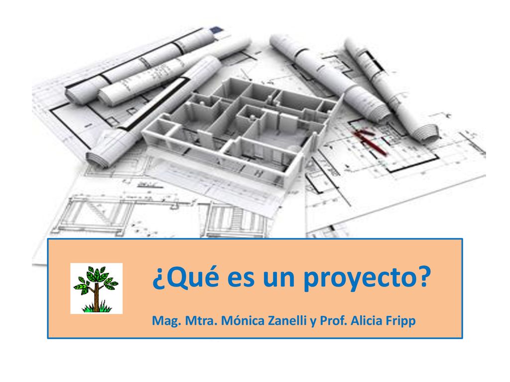 ¿Qué es un proyecto Mag. Mtra. Mónica Zanelli y Prof. Alicia Fripp