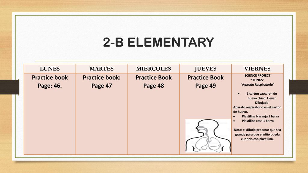 2-B ELEMENTARY Practice book Page: 46. Practice book: Page 47