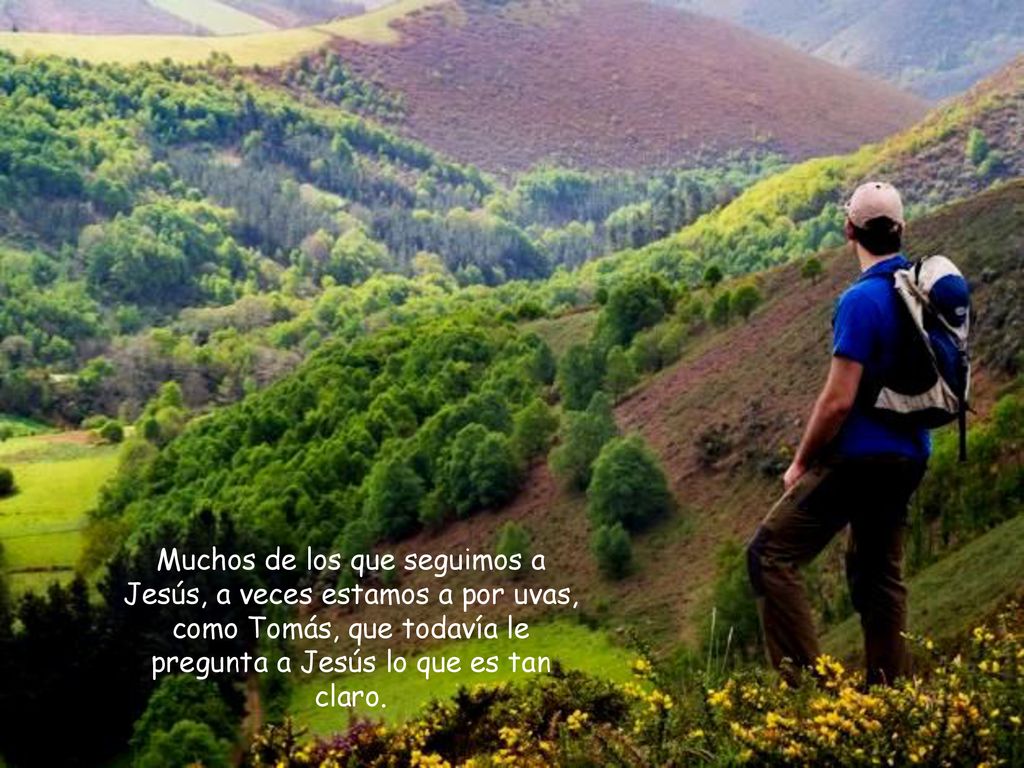 Muchos de los que seguimos a Jesús, a veces estamos a por uvas, como Tomás, que todavía le pregunta a Jesús lo que es tan claro.