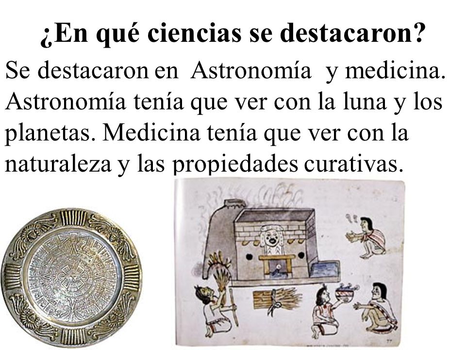 ¿En qué ciencias se destacaron