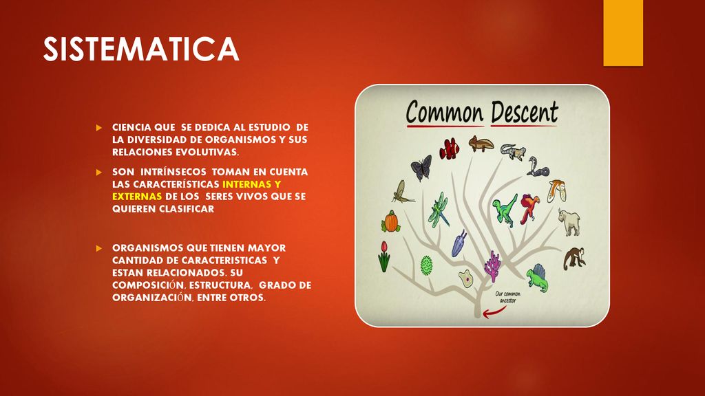 SISTEMATICA CIENCIA QUE SE DEDICA AL ESTUDIO DE LA DIVERSIDAD DE ORGANISMOS Y SUS RELACIONES EVOLUTIVAS.