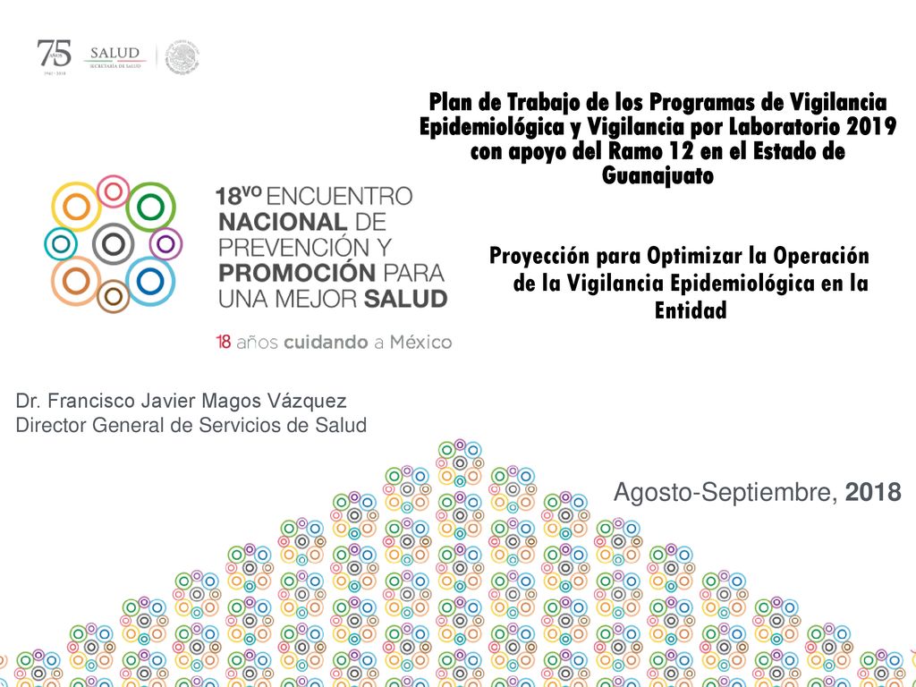 Plan de Trabajo de los Programas de Vigilancia Epidemiológica y Vigilancia por Laboratorio 2019 con apoyo del Ramo 12 en el Estado de Guanajuato