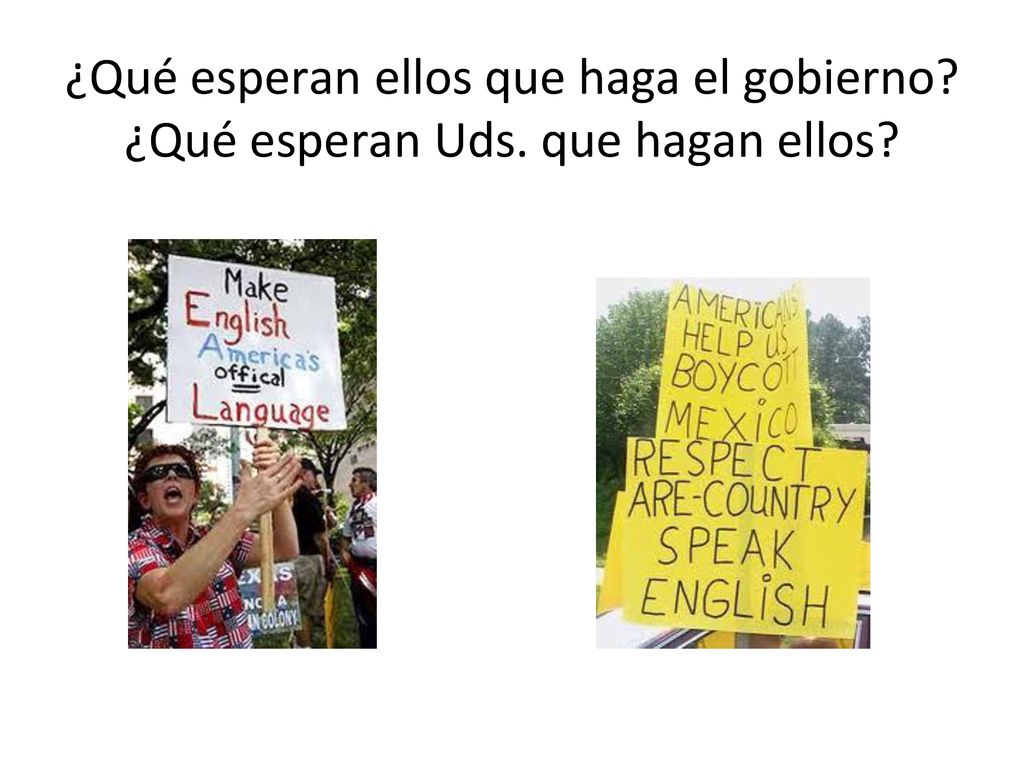 ¿Qué esperan ellos que haga el gobierno. ¿Qué esperan Uds