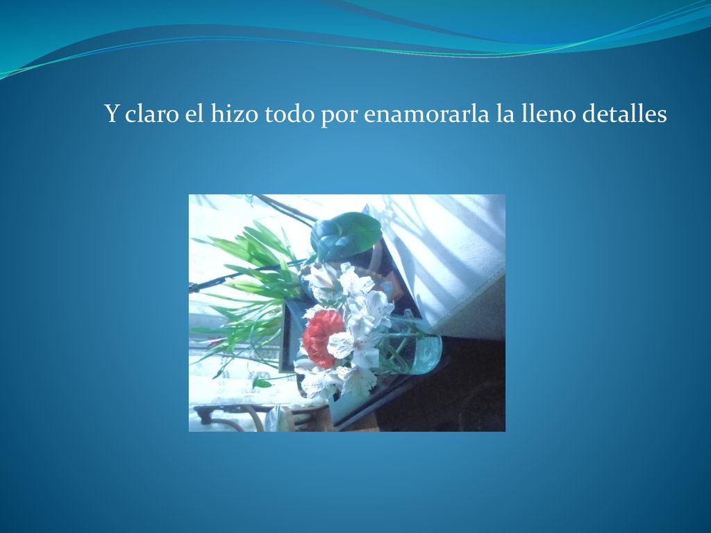 Y claro el hizo todo por enamorarla la lleno detalles