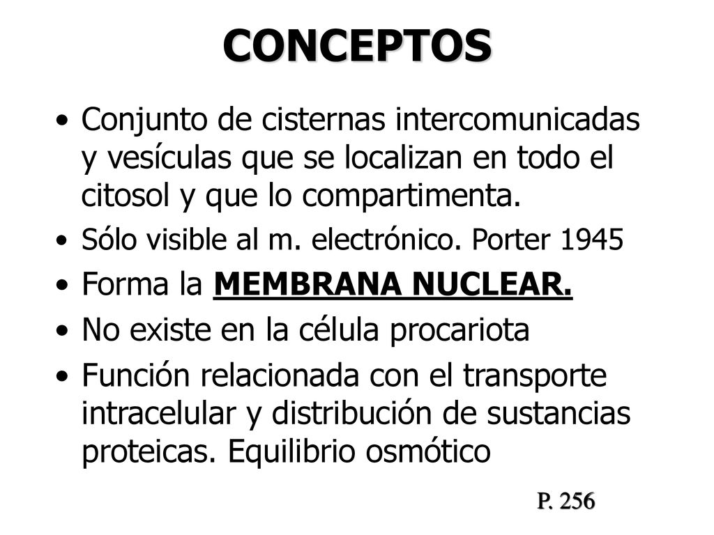 CONCEPTOS Conjunto de cisternas intercomunicadas y vesículas que se localizan en todo el citosol y que lo compartimenta.