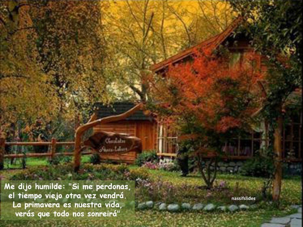 Me dijo humilde: Si me perdonas, el tiempo viejo otra vez vendrá.