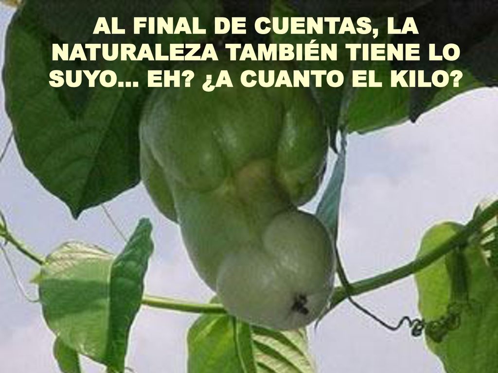 AL FINAL DE CUENTAS, LA NATURALEZA TAMBIÉN TIENE LO SUYO… EH