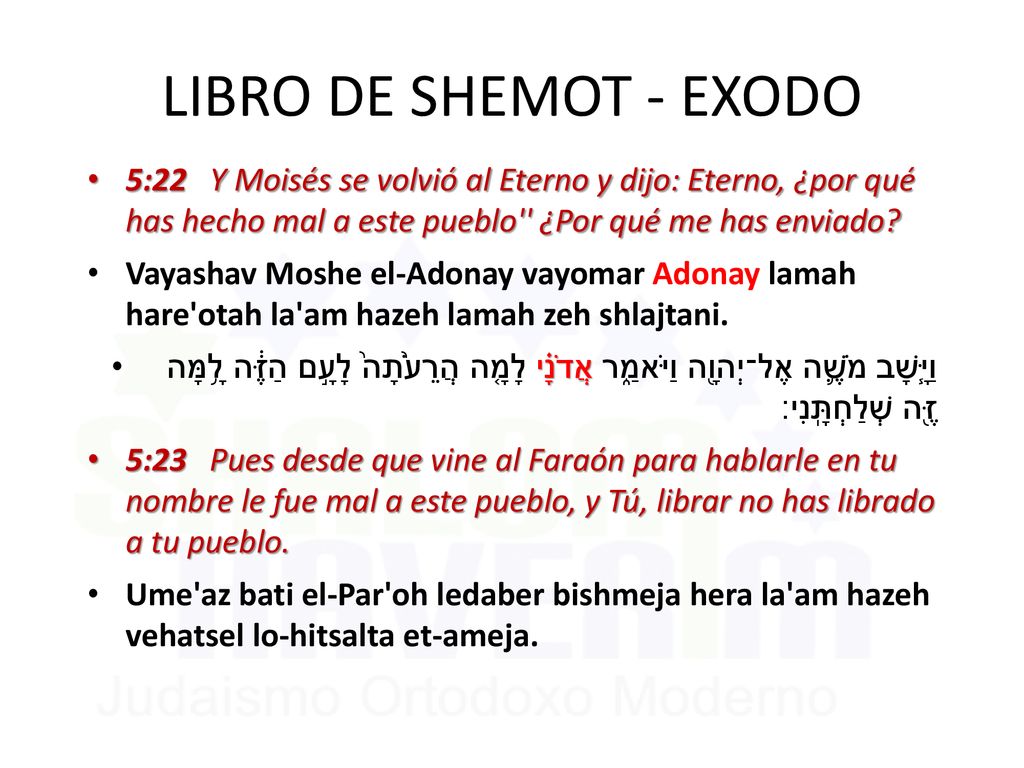 LIBRO DE SHEMOT - EXODO 5:22 Y Moisés se volvió al Eterno y dijo: Eterno, ¿por qué has hecho mal a este pueblo ¿Por qué me has enviado
