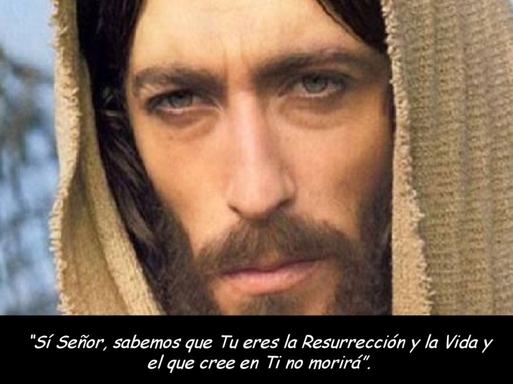 Sí Señor, sabemos que Tu eres la Resurrección y la Vida y el que cree en Ti no morirá .