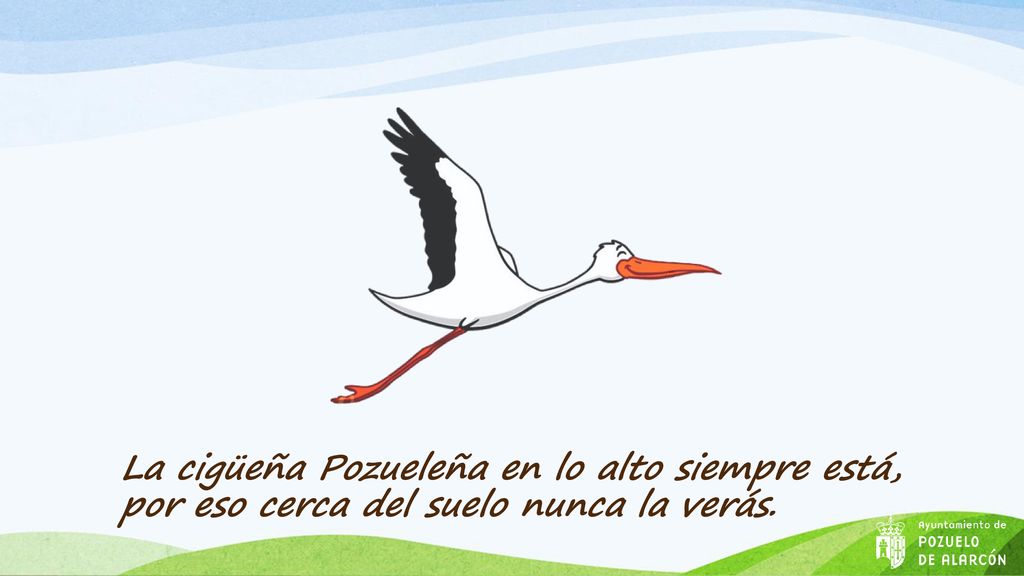 La cigüeña Pozueleña en lo alto siempre está, por eso cerca del suelo nunca la verás.