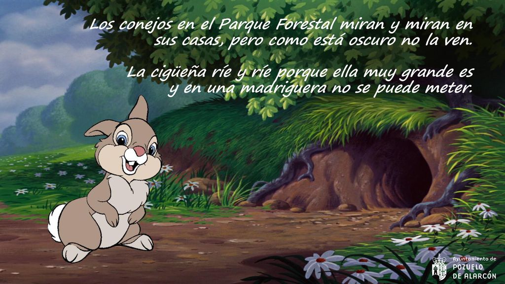Los conejos en el Parque Forestal miran y miran en sus casas, pero como está oscuro no la ven.