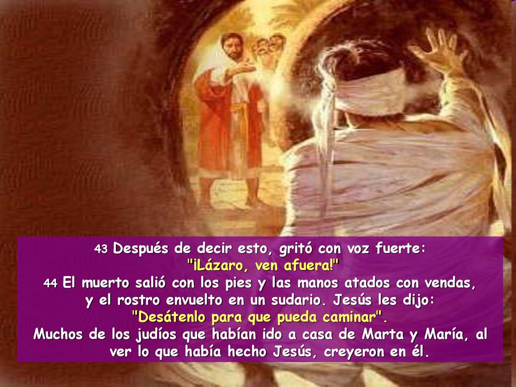y el rostro envuelto en un sudario. Jesús les dijo:
